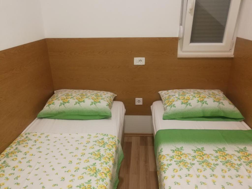 Apartman Darko 罗戈兹尼察 外观 照片
